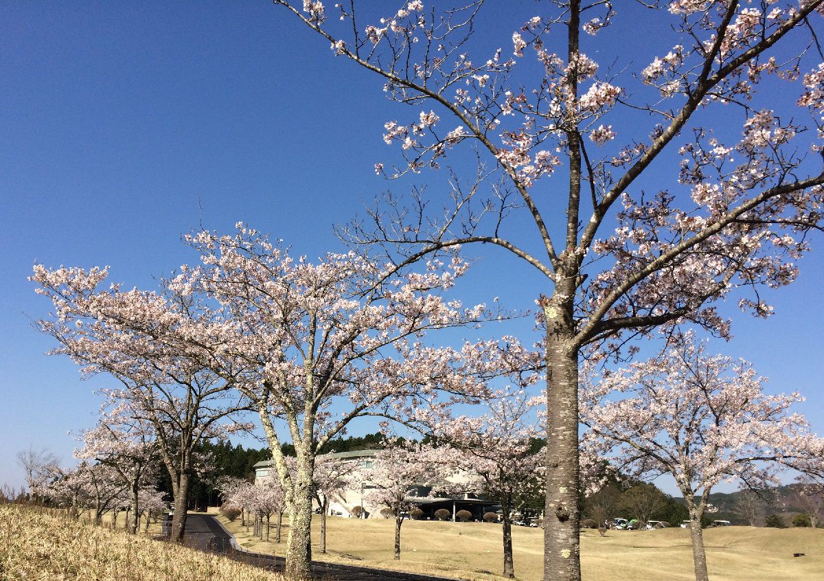 人生旅人 Tokyo